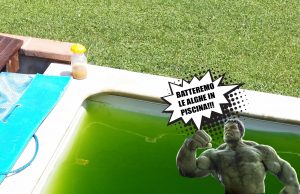 acqua-verde-alghe-in-piscina