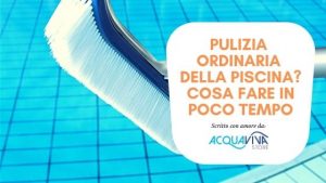 Copertina articolo, spazzolone