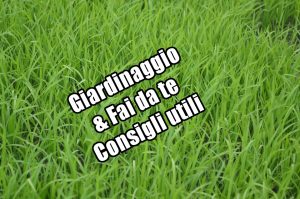 giardinaggio e fai da te
