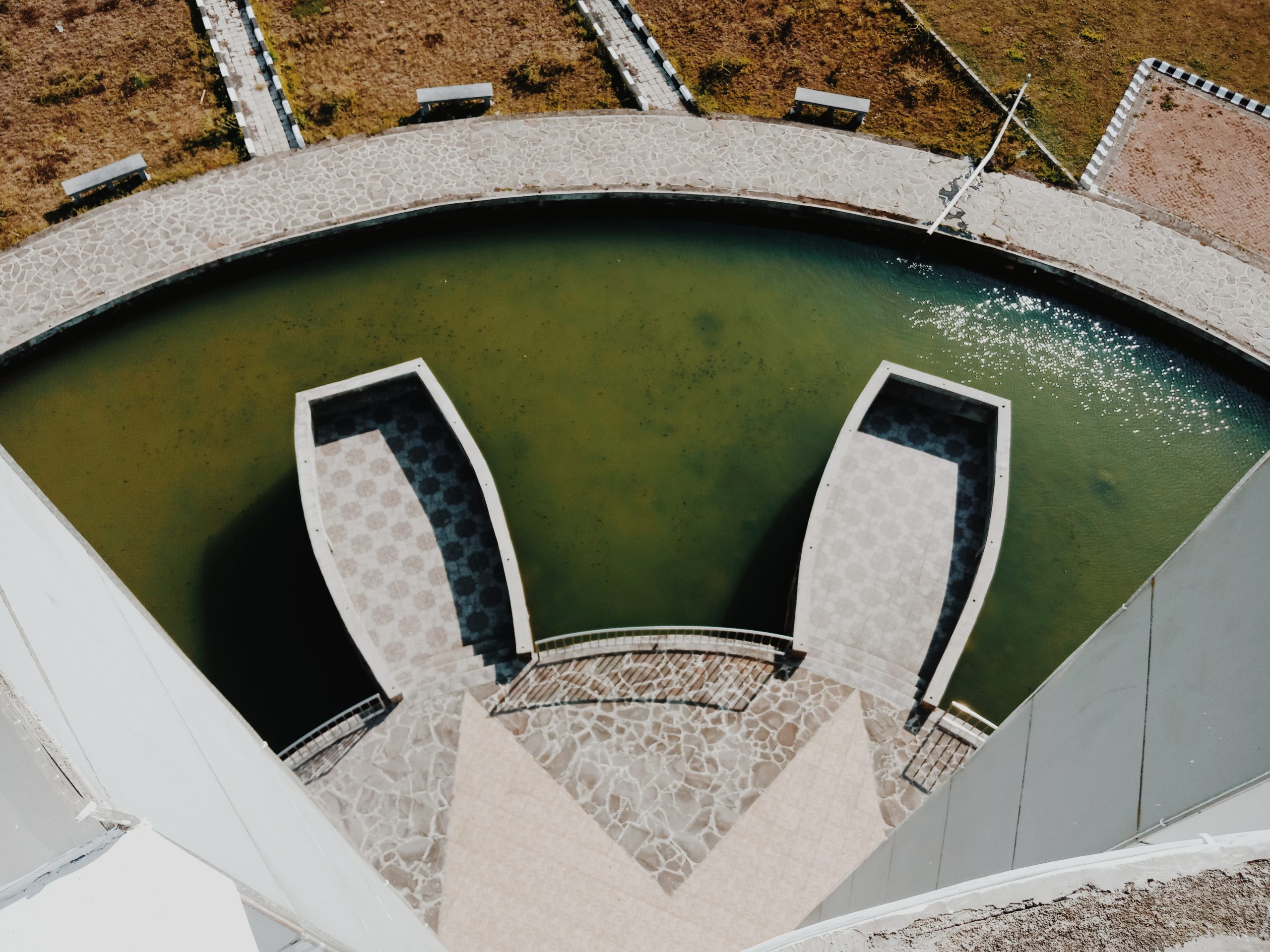 piscina acqua alghe verdi