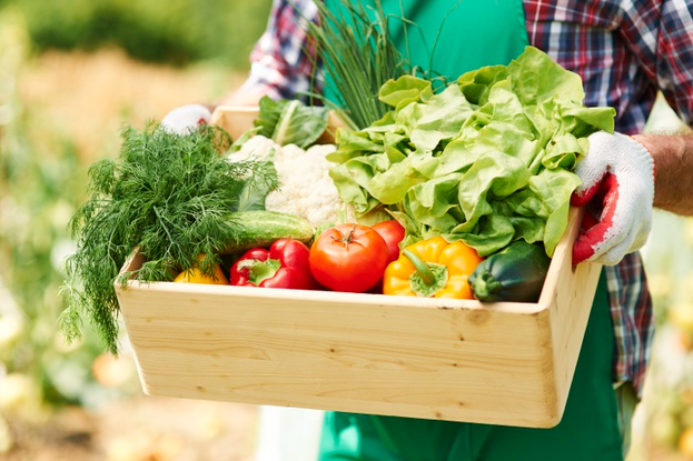 come fare un orto in giardino verdura