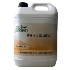 pH piu' liquido 5L Piscina