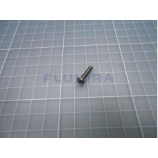Vite coprigirante 6-32X5/8 S/S PH PA robot Astralpool 