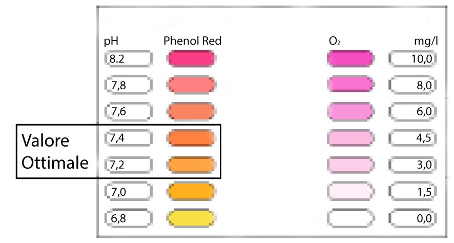 tabella valori ottimali